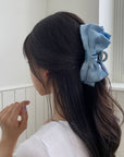 Bow Clip
