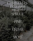 Christmas Tree Farm Soy Candle