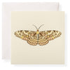 Martha Individual Gift Enclosure