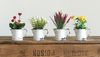 Faux Flower Pots