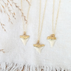 Shark Tooth Necklace