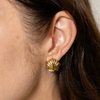 Waterproof Double Shell Earrings